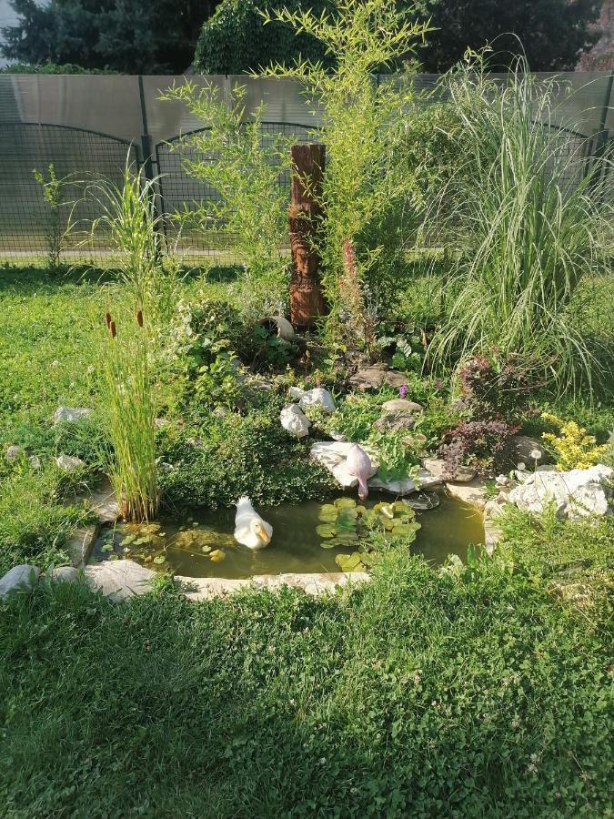 Apartman Garden House Voždivac Extérieur photo
